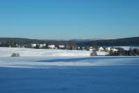 Bild 400x265