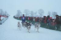Bild 400x265