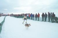 Bild 400x265