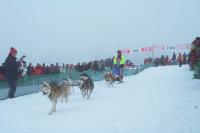 Bild 400x265