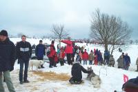 Bild 400x265