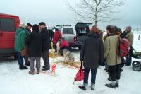 Bild 400x265